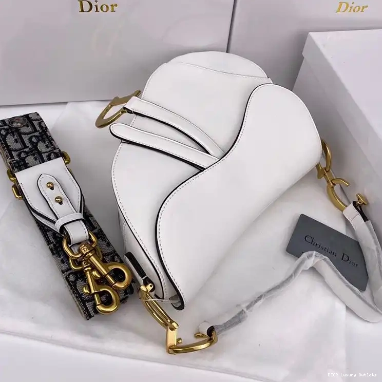 Cheap Smooth Bag Dior Saddle White Calfskin 0612 Luxury